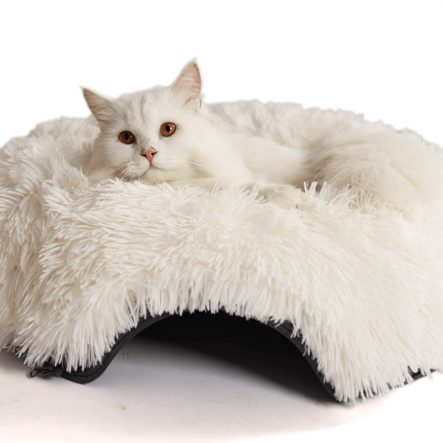 Cattasaurus™ Calming Donut - Large