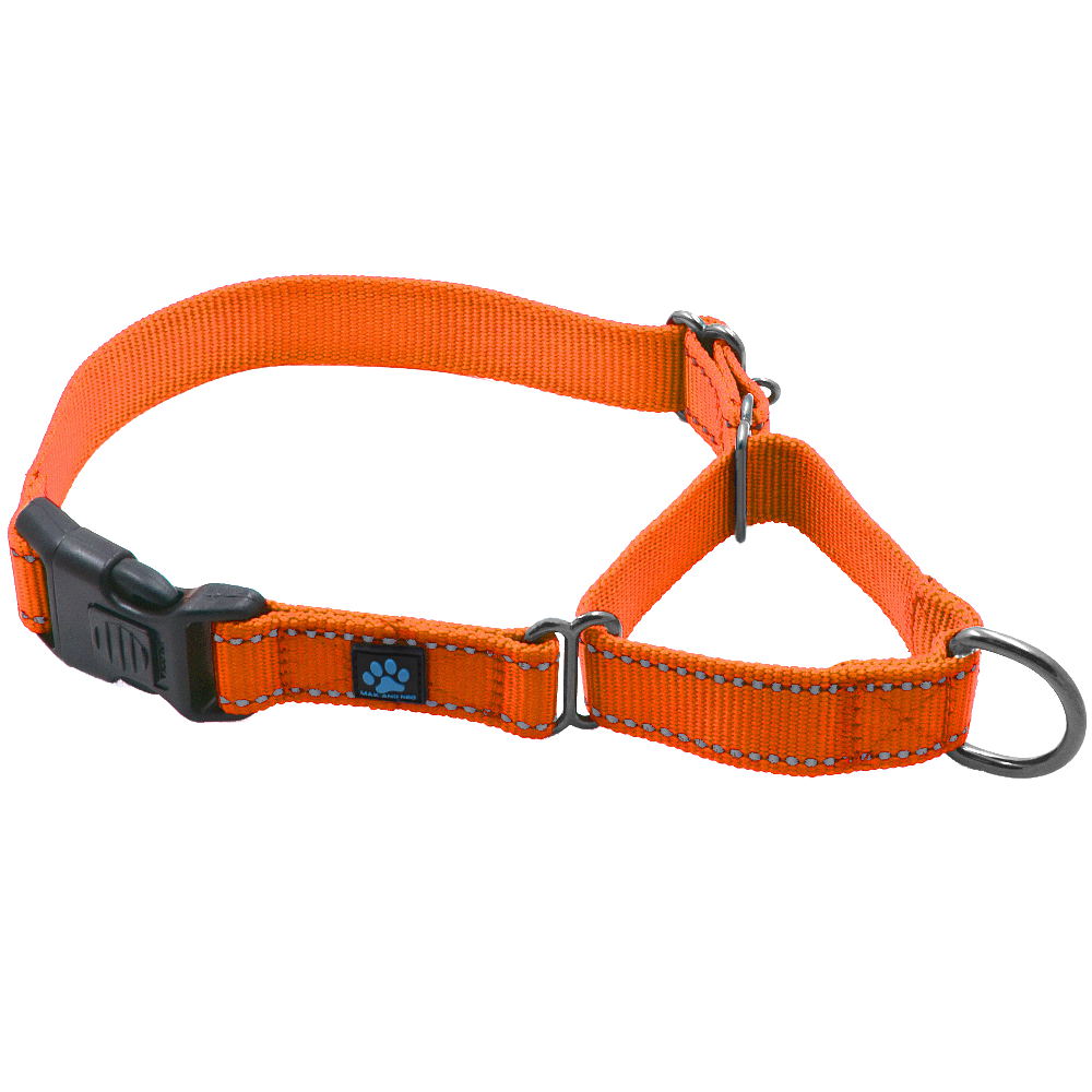 Martingale All Nylon Dog Collar (5 pack)