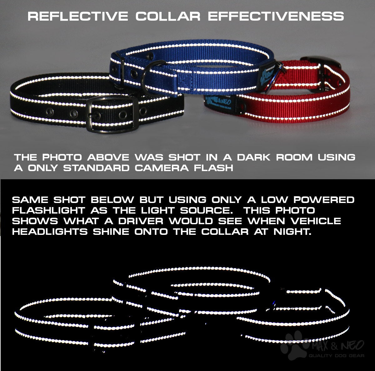 Martingale All Nylon Dog Collar (5 pack)