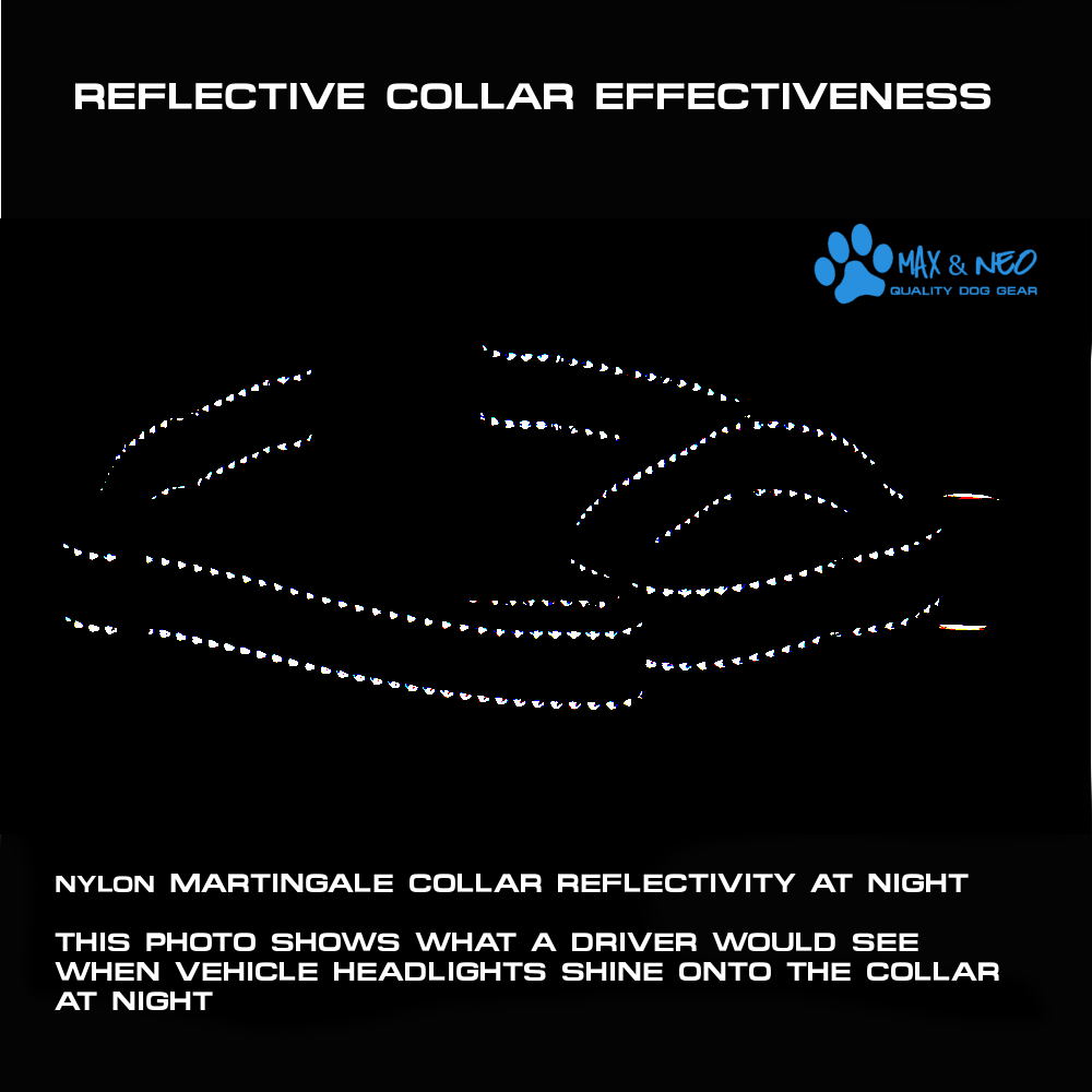 Martingale All Nylon Dog Collar (5 pack)