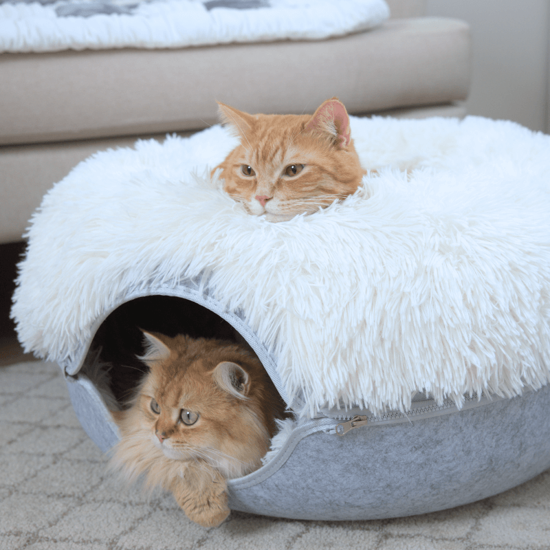 Cattasaurus™️ Calming Donut - Trio Pack