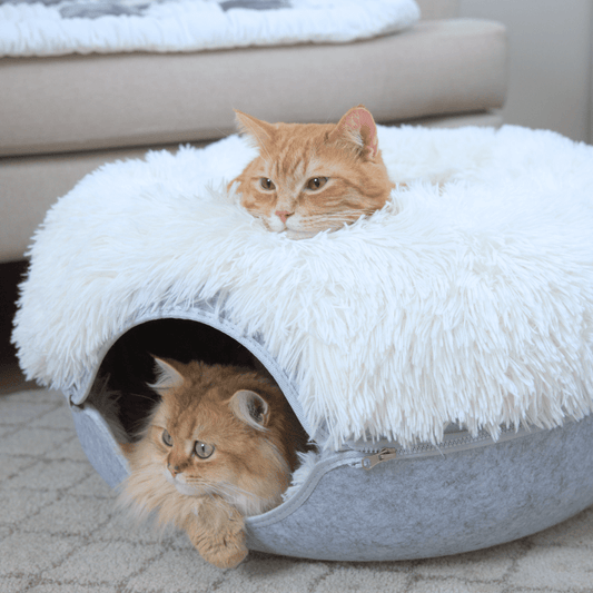 Cattasaurus™ Calming Donut - Large
