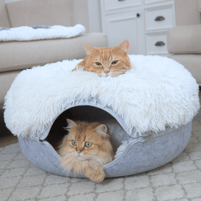 Cattasaurus™️ Calming Donut - Trio Pack