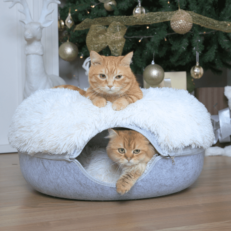Cattasaurus™️ Calming Donut - Trio Pack