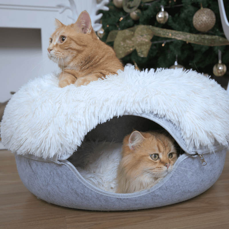 Cattasaurus™️ Calming Donut - Trio Pack