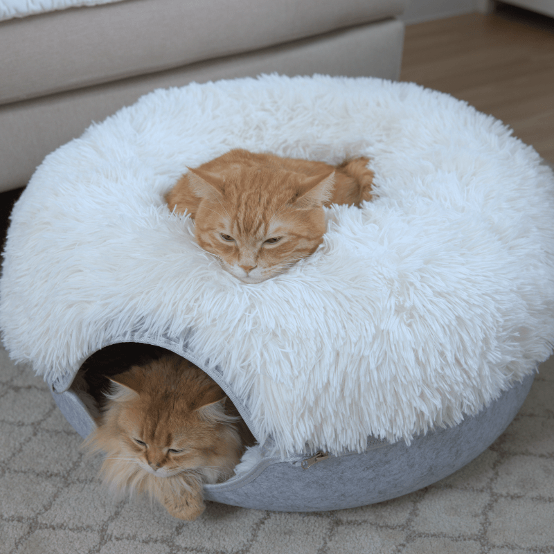 Cattasaurus™️ Calming Donut - Trio Pack