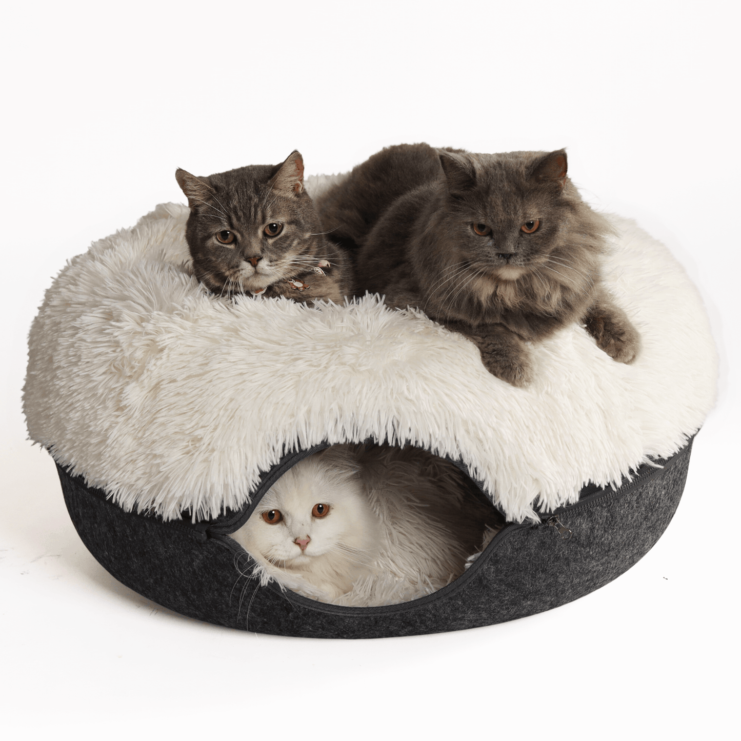 Cattasaurus™️ Calming Donut - Trio Pack