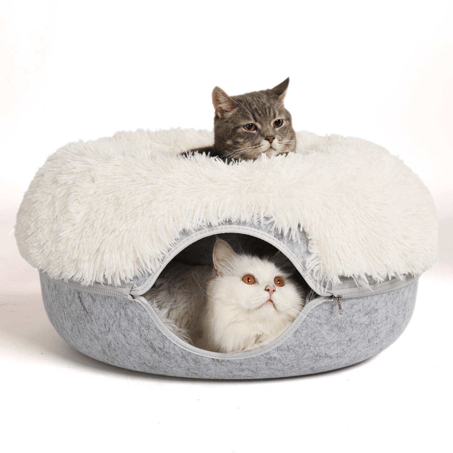 Cattasaurus™️ Calming Donut - Trio Pack