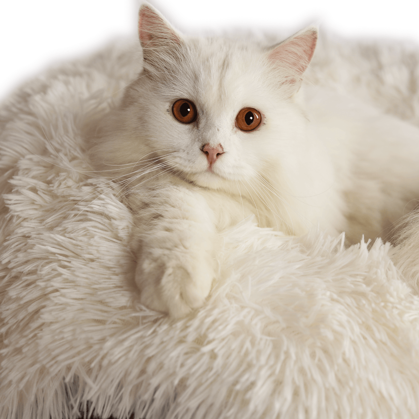 Cattasaurus™ Calming Donut - Large