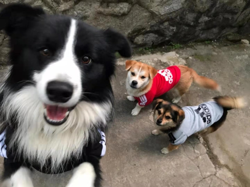ADIDOG™ Dog Sweater Winter Clothes Hoodie Shirt