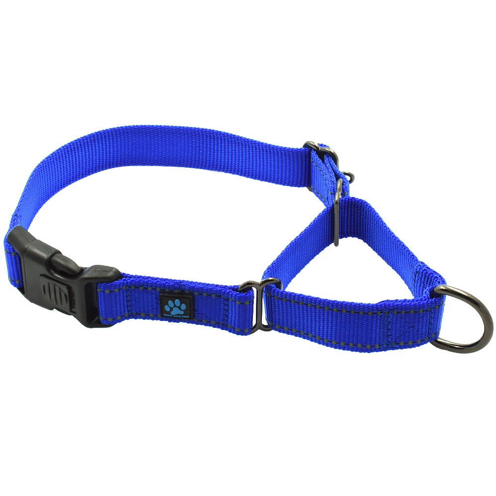 Martingale All Nylon Dog Collar (5 pack)