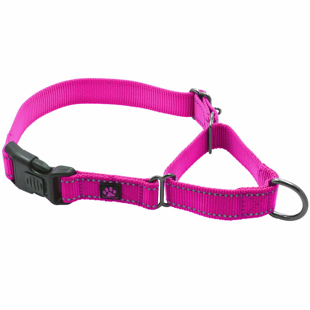 Martingale All Nylon Dog Collar (5 pack)