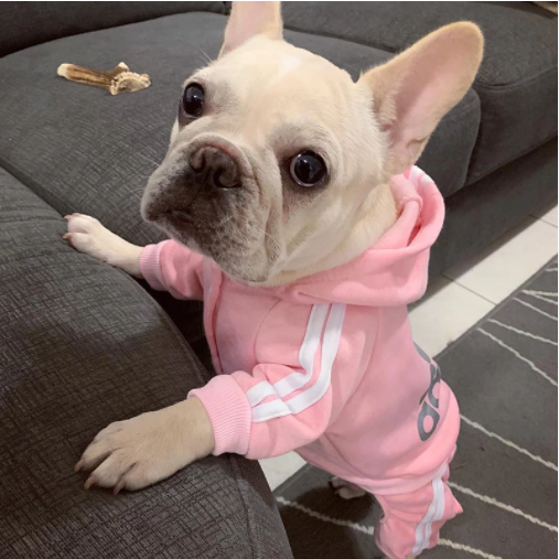 ADIDOG™ Dog Sweater Winter Clothes Hoodie Shirt