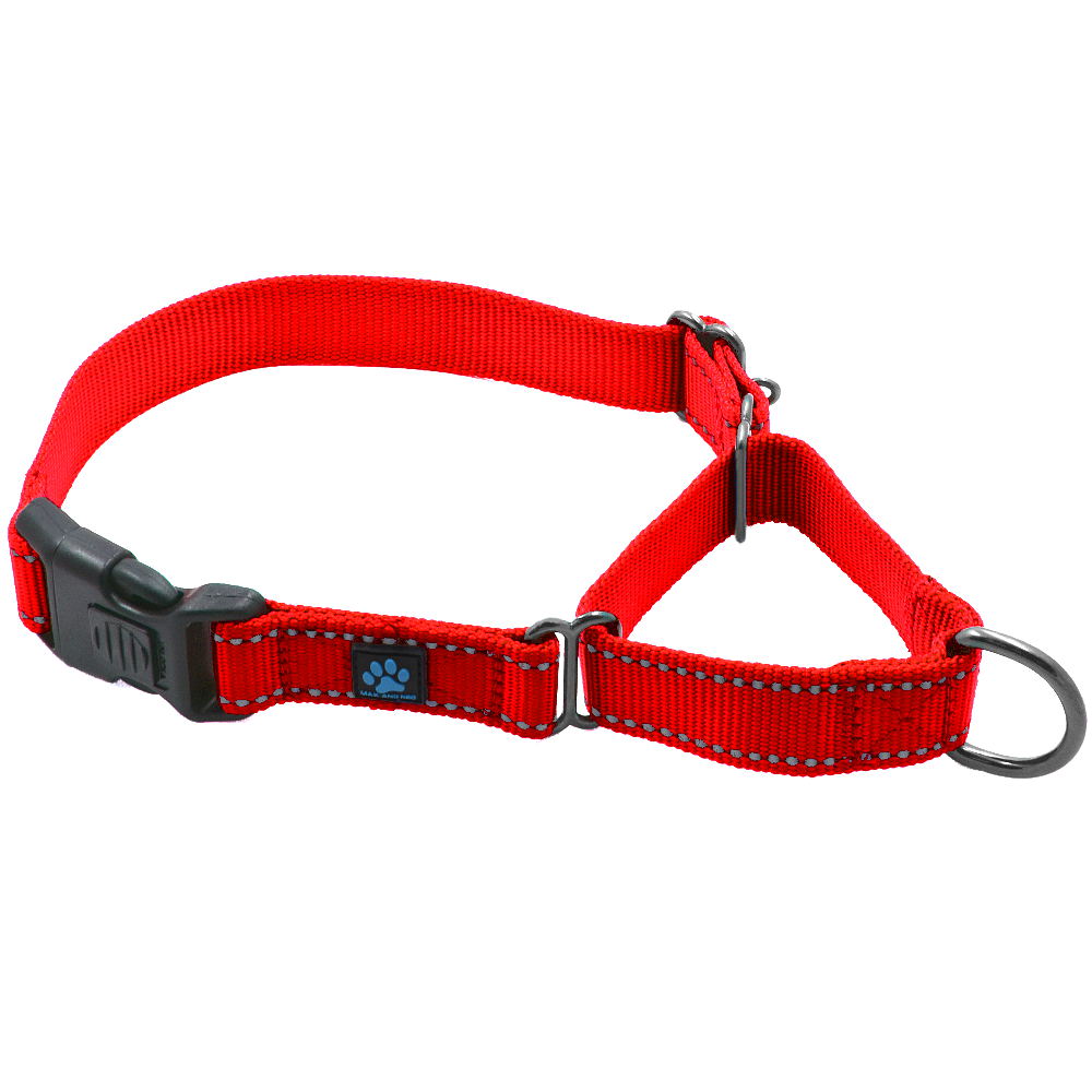 Martingale All Nylon Dog Collar (5 pack)